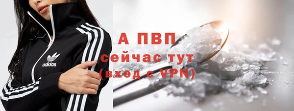 гашик Гатчина