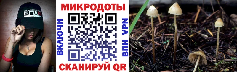 Псилоцибиновые грибы мицелий  кракен   Рыбное 